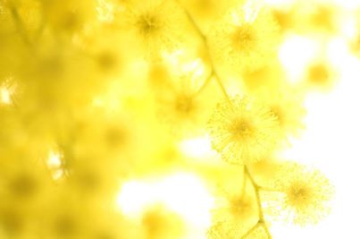 1506890_738583439498661_328409176_n