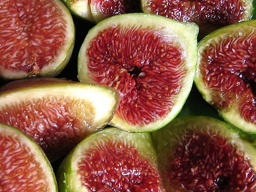 19568868_172_fichi_settembrini_H101323_L