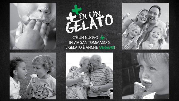 Evento_VEG_0804