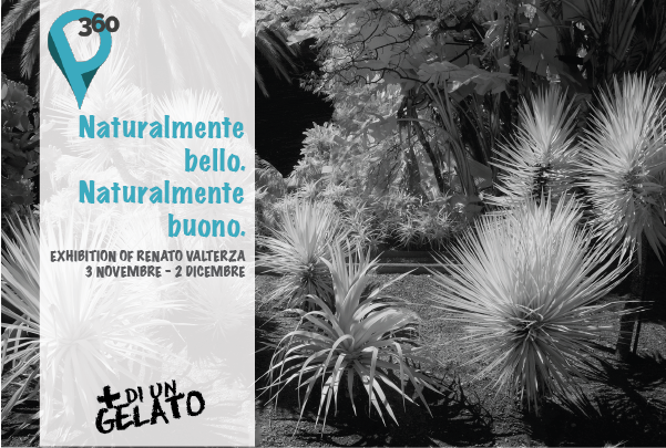 News_Sito