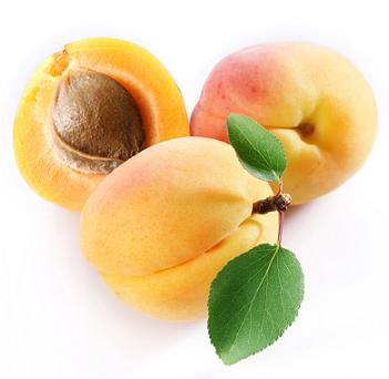 Apricot