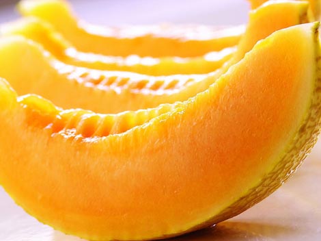 xinjiang_hami_melon5cecfac3ee4bc273636b