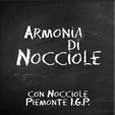 piu-di-un-gelato-nocciole